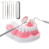 Professional Dental Tool Kit 6 Piece Stainless Steel Oral Care Set Silver