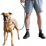 Black Dog Leash with Padded Nose Loop Anti-Pull Training Lead for Medium & Large Dogs