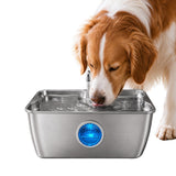 12L Pet Water Fountain Stainless Steel Quiet Pump for Large Dogs
