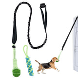 Interactive Dog Rope Toy with Bungee and Chew Ball for Indoor & Outdoor Play