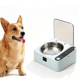 Smart Cat Food Bowl Stainless Steel Auto Lid Rechargeable Sensor