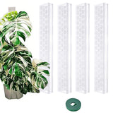 Moss Pole Plant Support for Climbing Plants