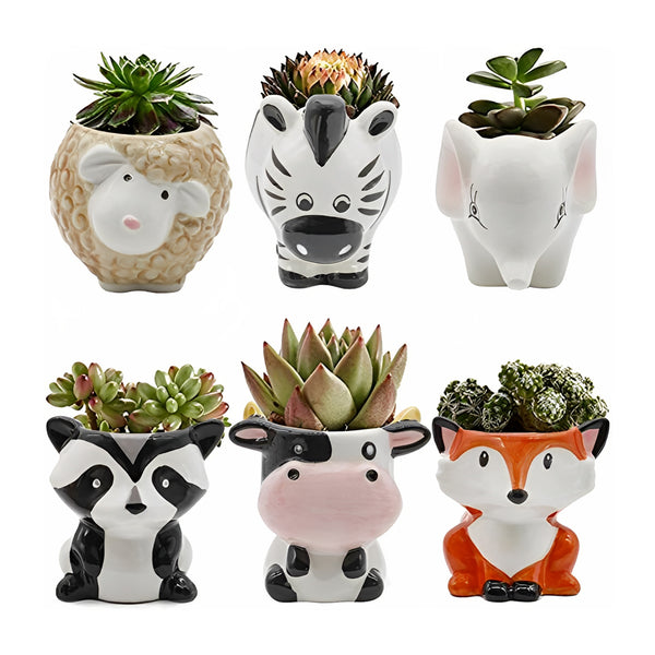 Set of 6pcs Cute Animal Plant Pot Succulent Planter Indoor Outdoor Desk Decoration