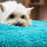 Floor Shaggy Fluffy Area Rug Modern Soft Shag Mat for Bedroom Living Room Blue