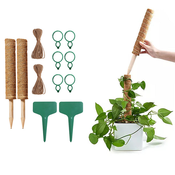 Coconut Moss Stake Poles Indoor Climbing Plant Extension Support Set
