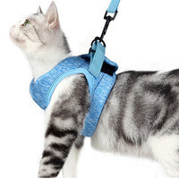 Pet Cat Harness and Leash Kit Large Blue