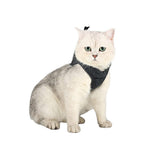 Pet Cat Harness and Leash Kit Large Black