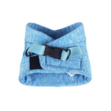 Pet Cat Harness and Leash Kit Medium Blue