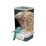 Automatic Cage Bird Feeder Outside
