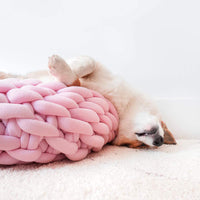 Cotton Knitted Pet Bed Basket Warm Soft Woven Cat Nest Cozy Cuddler for Dogs and Cats