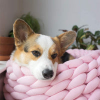 Cotton Knitted Pet Bed Basket Warm Soft Woven Cat Nest Cozy Cuddler for Dogs and Cats