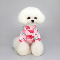 Cartoon Print Pet Clothes Hoodie Plus Velvet Dog Pajamas Bundle S Size-Strawberry and Big Blue Rabbit