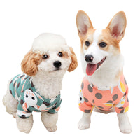 Cartoon Print Pet Clothes Hoodie Plus Velvet Dog Pajamas Bundle L Size-Pink Rabbit and Blue Rabbit