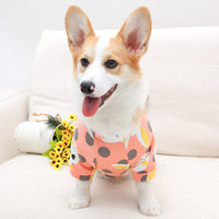 Cartoon Print Pet Clothes Hoodie Plus Velvet Dog Pajamas Bundle L Size-Pink Rabbit and Blue Rabbit