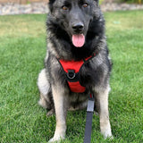 Reflective Adjustable No Pull Dog Harness Vest Harness with Easy Control Soft Handle Red-L