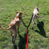 Dual Dog Leash Pet Dog Leash Double Ended Leads Training Rope Red