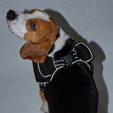 For Apple AirTag Pet Dog Collar Reflective Pet Harness Leash Collar AirTag Anti-lost-Black-S