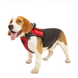 For Apple AirTag Pet Dog Collar Reflective Pet Harness Leash Collar AirTag Anti-lost-Red-L