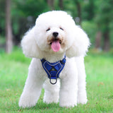 Reflective Dog Harness Lead Set No Pull Adjustable Pet Vest Leash Puppy XL-Blue