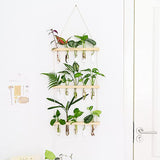 3 Tiered Wall Hanging Propagation Station Plant Hanger Flower Vases Wall Decor for Home Office-Wood Color