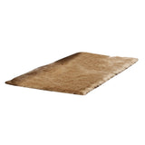 Shaggy Rug Cute Plush Modern Area Non Slip Rug Fluffy Carpets for Bedroom Brown