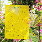 20pcs Dual-Sided Yellow Sticky Papers Insect Trap Catcher Killer Fly Aphids Wasp