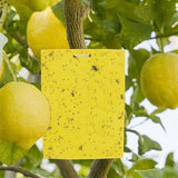 20pcs Dual-Sided Yellow Sticky Papers Insect Trap Catcher Killer Fly Aphids Wasp