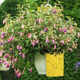 20pcs Dual-Sided Yellow Sticky Papers Insect Trap Catcher Killer Fly Aphids Wasp