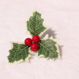 60 Pcs Artificial Holly Berries With Green Leaves
