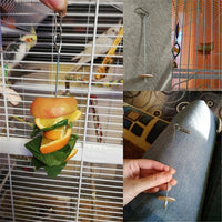 Stainless Steel Bird Parrot Cage Skewer Food Meat Stick