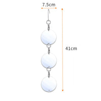 4 Set of Reflective Bird Repellent Discs Double-Sided Bird Scare Discs for Farmland Garden Home Window