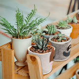 3pcs Decorative Plant Pot Covers Felt Cloth Flowerpot Containers for Indoor Outdoor Pots Garden Home Decor