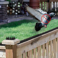 10PCS Bird Deterrent Spikes Anti Cat Climb Wall Fence Spikes Bird Repellent Black