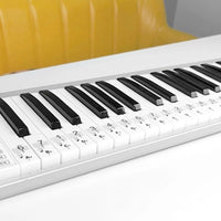 2 Sets Removable Piano Keyboard Stickers For 61/88 KEY