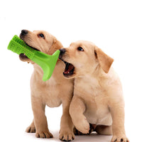 Dog Chew Toy Toothbrush Pet Dog Tooth Cleaning Stick Dental Care