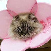 Pet Elizabethan Collar Soft Pet Collar Pet Dog Cat Adjustable Wound Healing Collar Anti-scratch Pet E-Collar