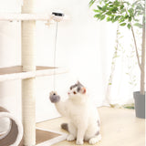 Electric Automatic Lifting Cat Ball Interactive Cat Teaser Toy Cat Playing Toy