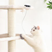 Electric Automatic Lifting Cat Ball Interactive Cat Teaser Toy Cat Playing Toy