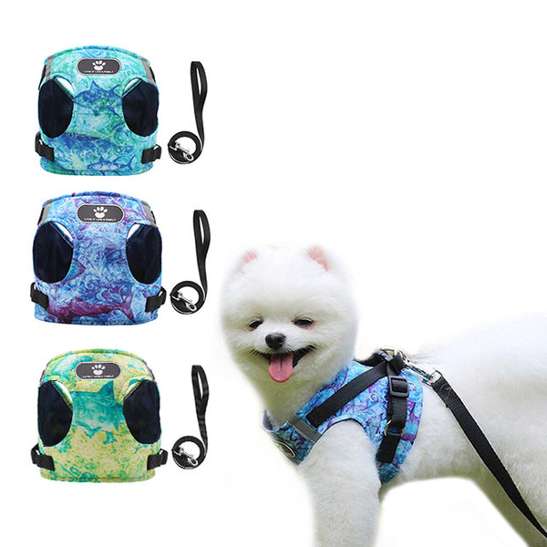 Colour Ocean Pattern Printed Pet Harness Dog Leash Set