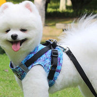 Colour Ocean Pattern Printed Pet Harness Dog Leash Set