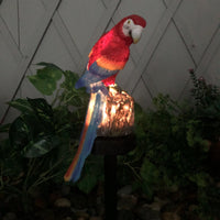 2 X Animal Parrot Shape Solar Powered Garden Night Lights Yard Lamps