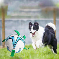 Pet Dog Soccer Ball Toys with Grab Tabs