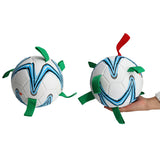 Pet Dog Soccer Ball Toys with Grab Tabs