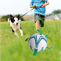 Pet Dog Soccer Ball Toys with Grab Tabs