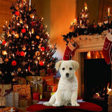 Christmas Dog Pet Bed Pads Bone Shaped