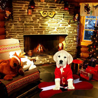 Christmas Dog Pet Bed Pads Bone Shaped