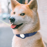 2 Pcs Pet Collar with AirTag Containers Dark Blue and Pink