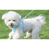 Reflective Pet Harness Leash Set Grey