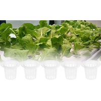 Set of 80 Pcs Lightweight Durable Grow Net Cup