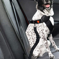 3 Piece Set Retractable Dog Car Seatbelts Adjustable Pet Seat Belt for Vehicle Black